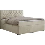MKS Boxspringbett 160 x 200 cm H4 Beige