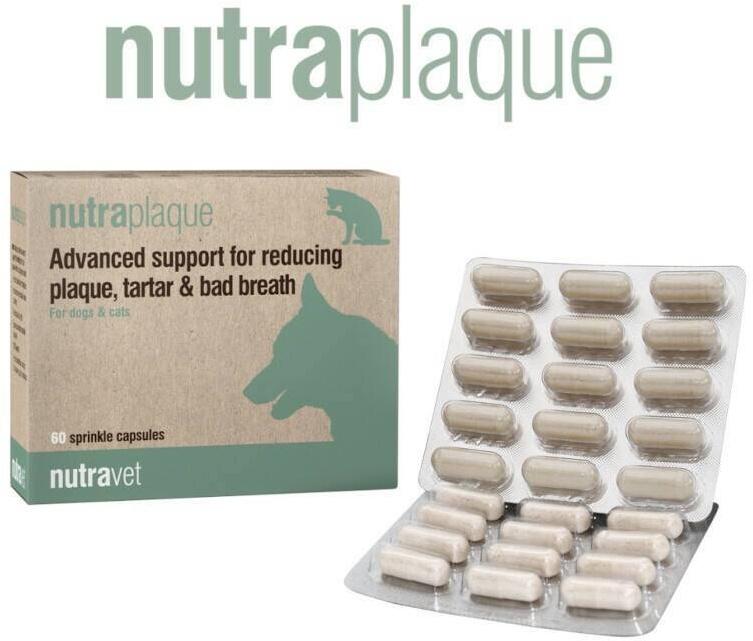 NUTRAVET Nutraplaque für Hunde & Katzen 60 Kapseln - Unterstützung bei der Reduzierung von Zahnbelag, Zahnstein und Mundgeruch (Rabatt für Stammkunden 3%)