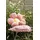 Magma Heimtex Minnie Dekokissen Ø 50 cm Pink