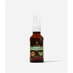 Propolis Halsspray Honig Minze 30 ml