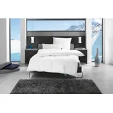 fan Alaska Winterdecke 200x200 cm, Daunen-Kassettendecke warm