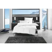 fan Alaska Winterdecke 200x200 cm, Daunen-Kassettendecke warm