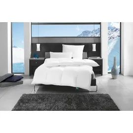 fan Alaska Winterdecke 200x200 cm, Daunen-Kassettendecke warm