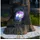 MARELIDA LED Solar Gartenfigur Paradiesvogel - 10 kaltweiße LED - H: 57cm - Dämmerungssensor - bunt