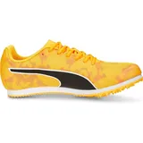 Puma EvoSPEED Star 8 orange 36.0