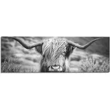 Reinders! Wandbild »Wandbild Highlander Bulle Tiermotiv - Nahaufnahme - Hochlandrind Bild«, Kuh, (1 St.), schwarz