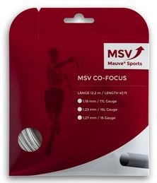 msv co-focus