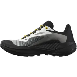 Salomon Aero Glide 3 Herren Grau / Silber 44