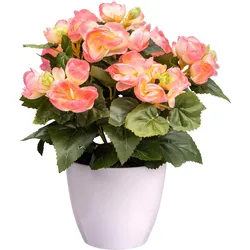 Kunstblume CREATIV GREEN "Begonie", rosa, H:28cm, Kunststoff, Kunstpflanzen, mit farbenfrohen Blüten