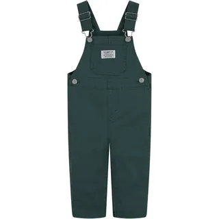 Levi's Levi ́s ® Kids Carpenter Latzhose - Bistro Green - 6 Monate