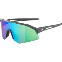 Alpina Sonic HR Q-Lite Sportbrille (Größe ONE SIZE, grau)