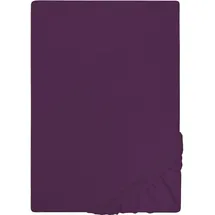 biberna 0077155 Jersey 140 x 200 - 160 x 200 cm dunkelviolett