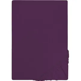 biberna 0077155 Jersey 140 x 200 - 160 x 200 cm dunkelviolett