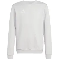 adidas Entrada26 Lightgrey 104