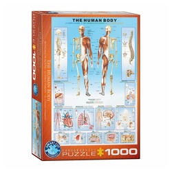 EUROGRAPHICS Puzzle »Der menschliche Körper«, 1000 Puzzleteile bunt