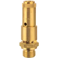 Riegler Sicherheitsventil DN 10 Messing Ansprechdruck 28 bar