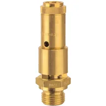 Riegler Sicherheitsventil DN 10 Messing Ansprechdruck 28 bar