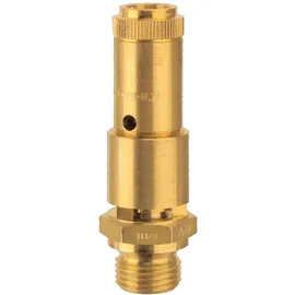 Riegler Sicherheitsventil DN 10 Messing Ansprechdruck 28 bar
