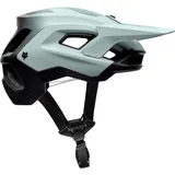Fox Speedframe Pro L grau 2021