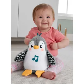 Fisher-Price Flatter & Wackel Pinguin