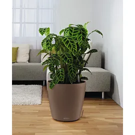 LECHUZA Rolluntersetzer Classico 43 Schwarz Ø 26 cm