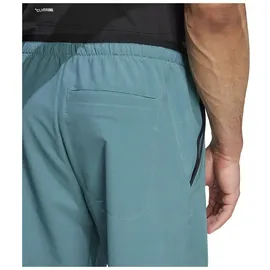 adidas Terrex Multi Liteflex Hosen Preloved Teal L