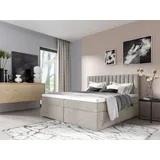 Fun Möbel Boxspringbett Schlafzimmerbett LINNEA 140x200cm Stoff Beige inkl. Bettkasten - Beige