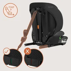 lionelo Levi Fix i-Size Grau