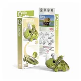 dodoland limited 3D Bastelset Triceratops
