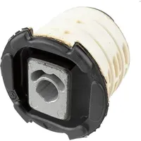 Lemförder Lagerung, Achsträger