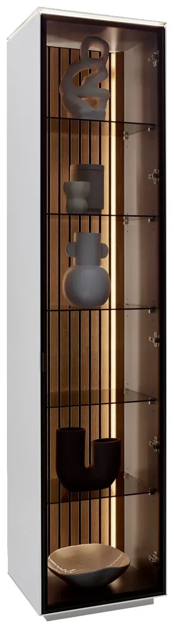 Dieter Knoll Vitrine RIANI - B/H/T ca. 45,80x198,60x40,00