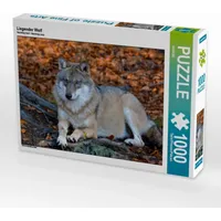 Calvendo Liegender Wolf Puzzle