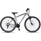 Altec Mountainbike 29 Zoll Umit 4 MOTION, silber