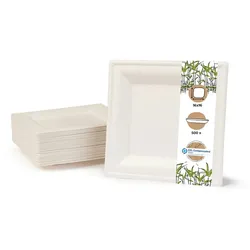 BIOZOYG 500 Stück Einwegteller quadratisch 16x16cm Bio Geschirr Zuckerrohr Teller stabil biologisch abbaubar kompostierbar Bagasse Einwegteller