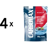 ACTIVLAB CarboMax Energy Power Dynamic Beutel 3000 g