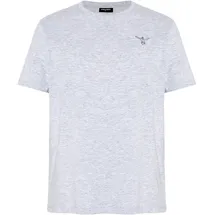 Chiemsee T-Shirt grau L
