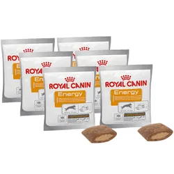 ROYAL CANIN Nutritional Supplement Energy 6x50g