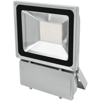 Eurolite LED IP FL-100 3000K