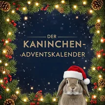 FlipFlop Der Kaninchen-Adventskalender