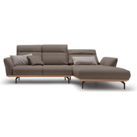 hülsta sofa Ecksofa hs.460, Sockel in Eiche, Alugussfüße in umbragrau, Breite 298 cm beige|grau