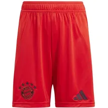 Adidas FC Bayern München 24/25 Heimshorts Kids Red 176