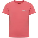 Jack Wolfskin Unisex Kinder Essential Cotton K T-Shirt, Sunset Coral, 152 EU - 152