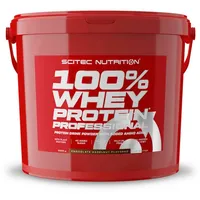 Scitec Nutrition 100% Whey Protein Professional Schokolade-Haselnuss Pulver 5000 g