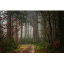 Fototapete PAPERMOON "Photo-Art ELLEN BORGGREVE, REVERIES", bunt, B:4,00m L:2,60m, Vlies, Tapeten