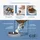 Catit PIXI Smart Futterautomat