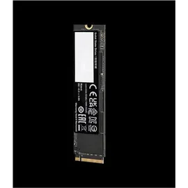Gigabyte AORUS Gen4 7300 SSD 1TB M.2 PCIe AG4731TB PCIe 4.0x4 NVME