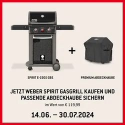 Weber Gasgrill SPIRIT E-220S Classic GBS