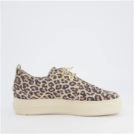 Paul Green Sneaker Damen Leopard 38,5