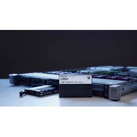 Kingston DC3000ME PCIe 5.0 NVMe U.2 SSD 7.68TB, U.2 / PCIe 5.0 x4 (SEDC3000ME/7T6)