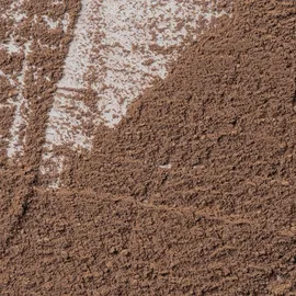 Previa Earth Infusion Powder 53 Sandalo 200 g